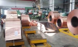 中鋁洛銅生產(chǎn)車(chē)間 (1)