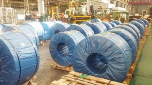 中鋁洛銅生產(chǎn)車間 (3)